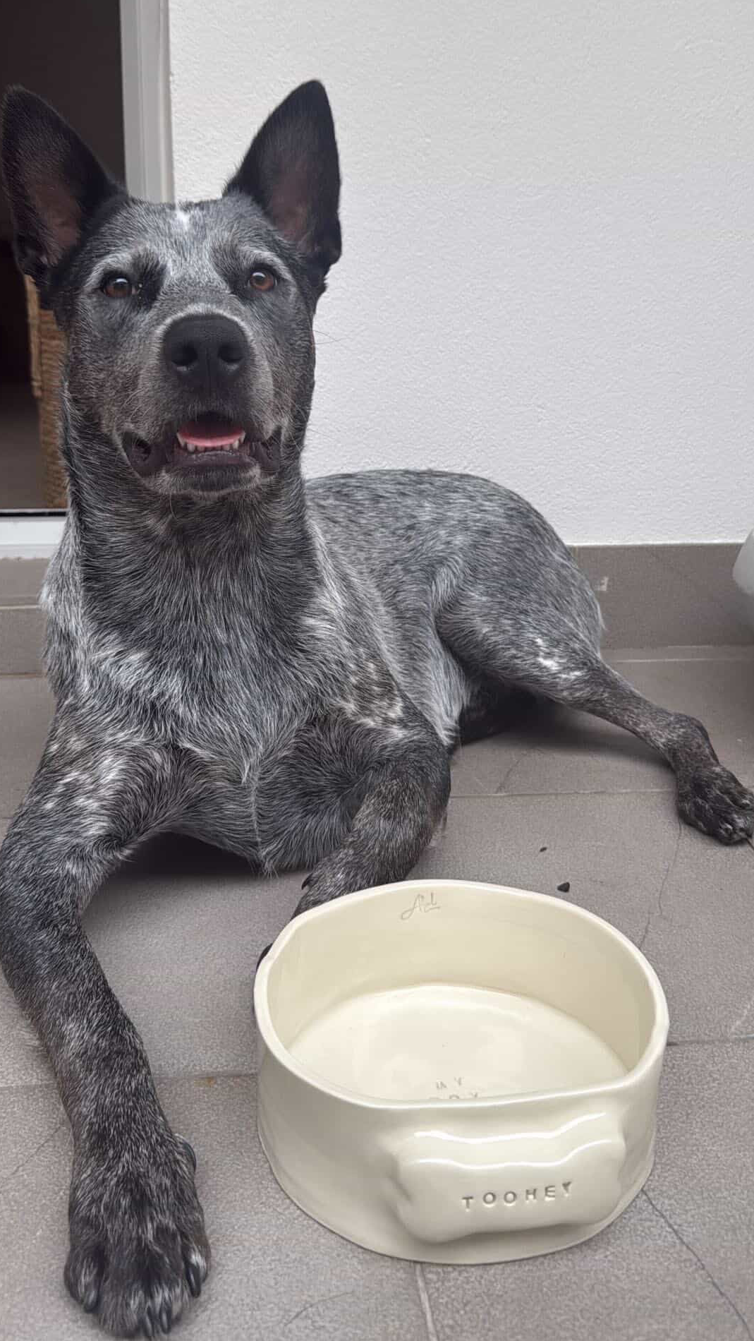 Bone Bowl