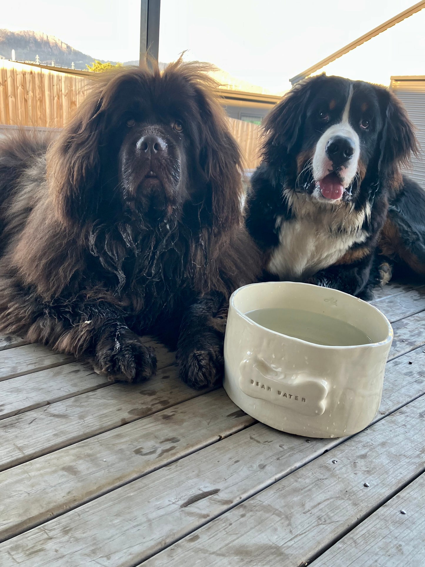 Big Bone Bowl