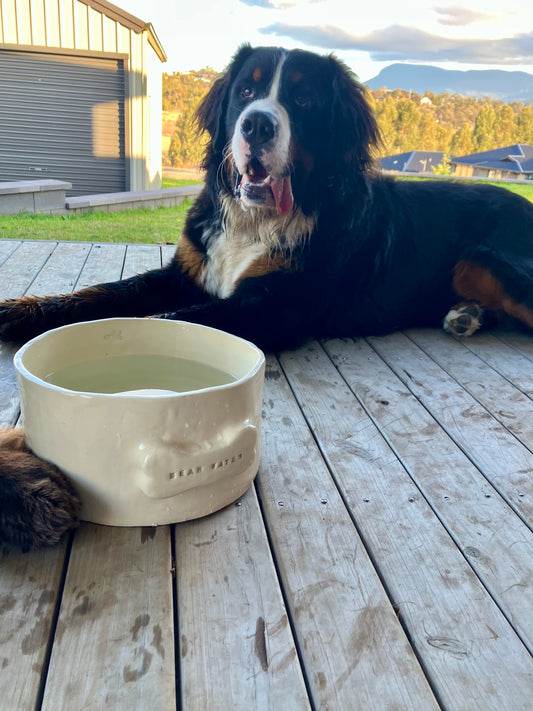 Big Bone Bowl