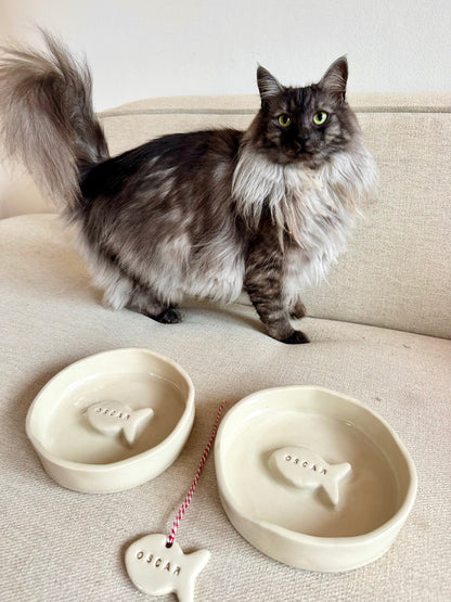Cat Bowl